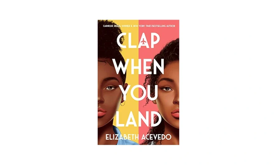Clap When You Land: Themes, Characters & Review
