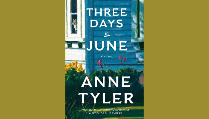 Three Days In June: Book Summary, Meaning, Themes & Analysis